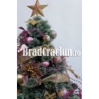 Brad de Craciun 195 cm promoroaca "golden pink" 